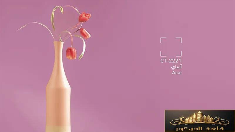 Paint Colors Paint-Colors